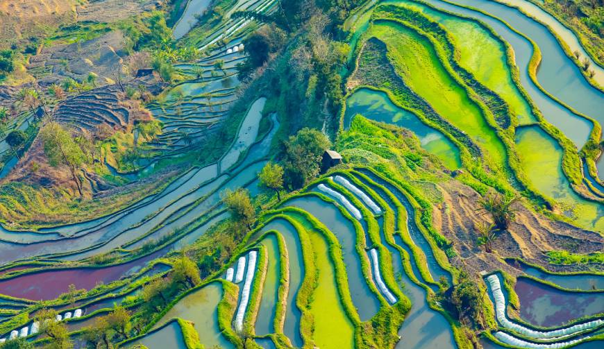 宝妈必备神器：峨眉山产品视频拍摄轻松育儿好帮手